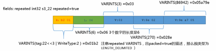 Protocol Buffers编码详解，例子，图解