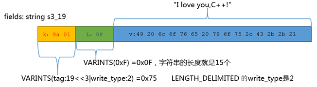 Protocol Buffers编码详解，例子，图解