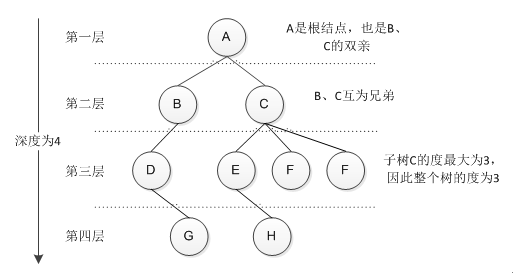 “树”不倒，人不散—数据结构的核心