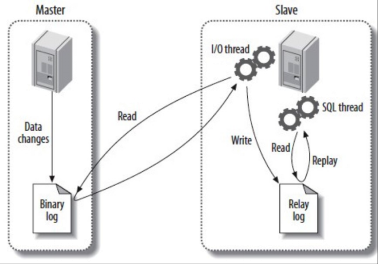 MySQL数据库丢失数据场景分析