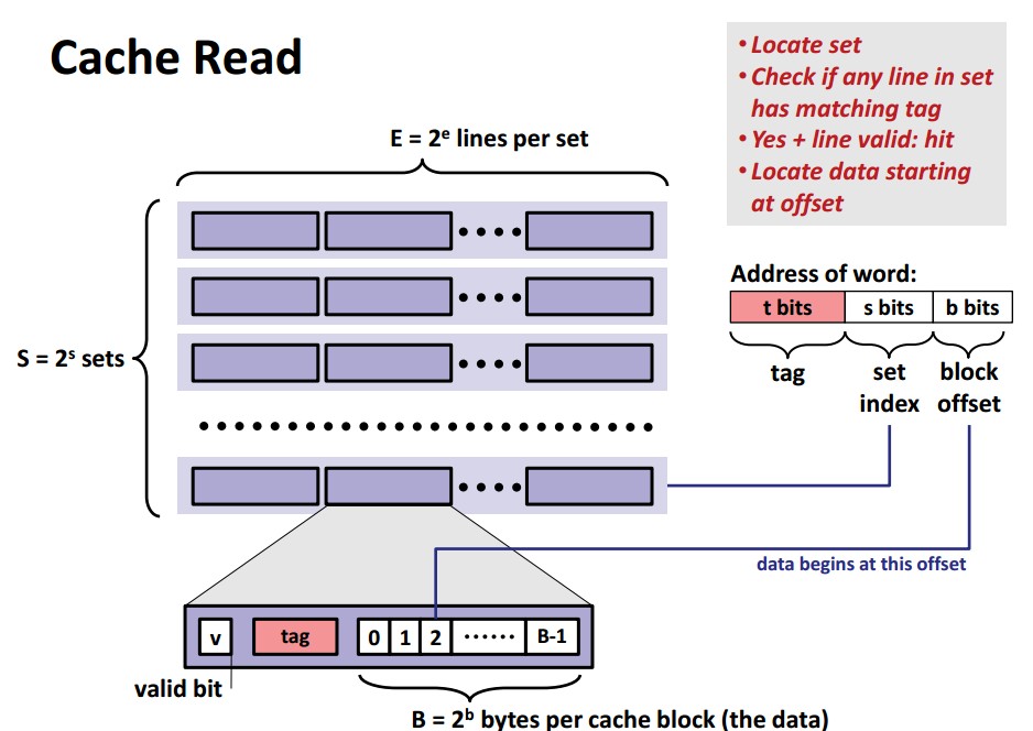 CSAPP Cache 详细解析