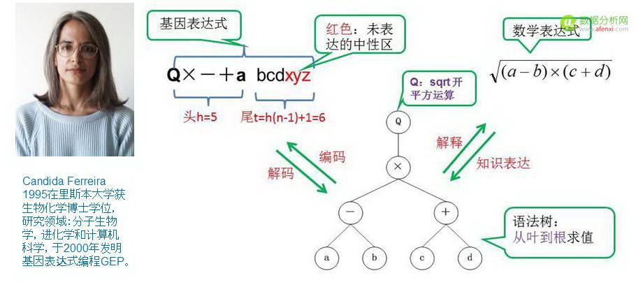 趣味数据挖掘系列10：基因表达式编程