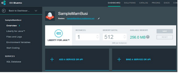 Bluemix JVM 调试选项