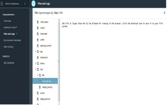 Bluemix JVM 调试选项