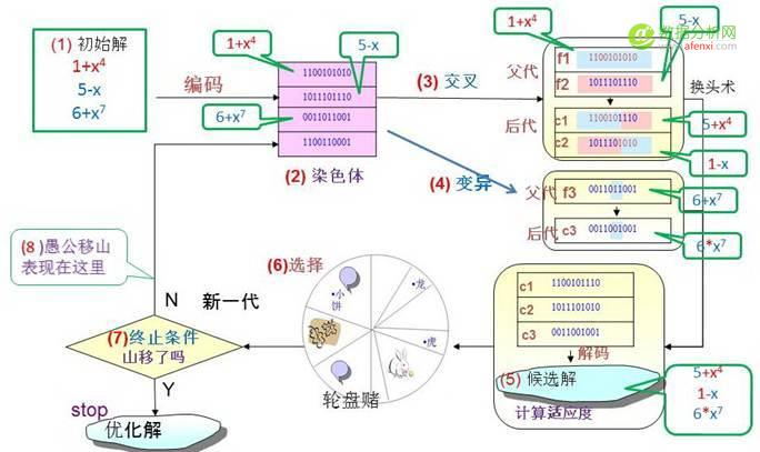 趣味数据挖掘系列10：基因表达式编程