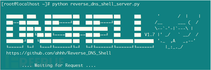 DNS Shell初体验