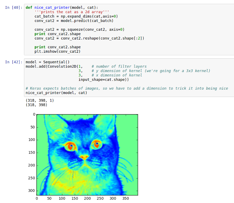 卷积神经网络可视化：以Keras处理猫图片为例