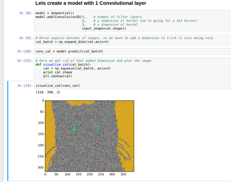卷积神经网络可视化：以Keras处理猫图片为例