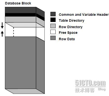 【体系结构】Oracle数据块详解