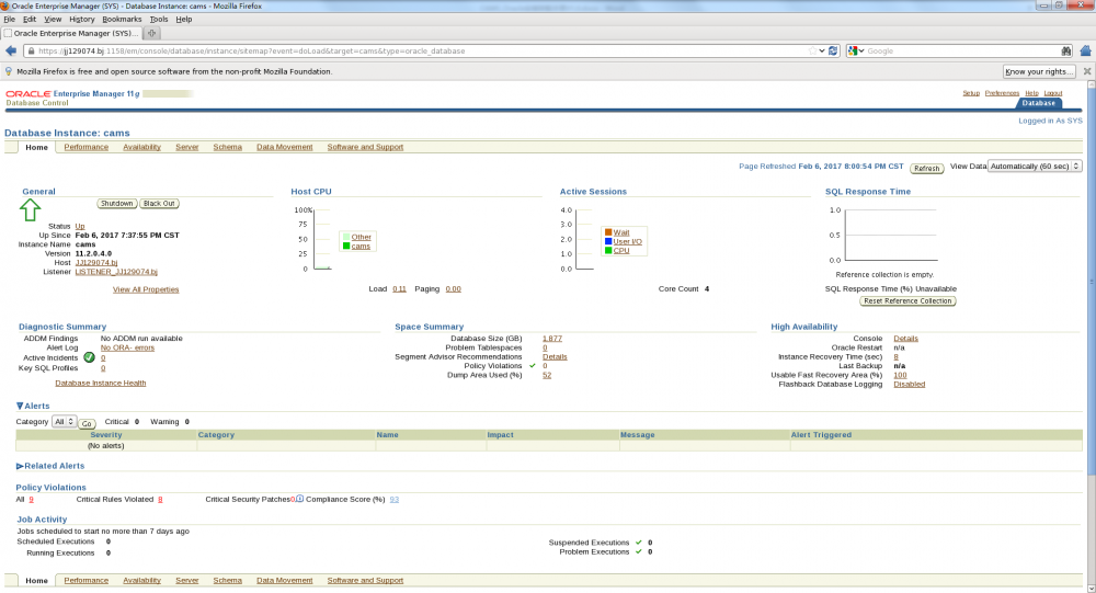 Oracle11g安装部署手册(RedHat6.5)