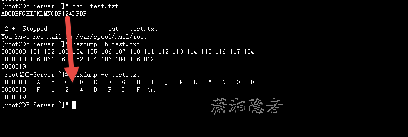 在AIX或Linux下，如何查看磁盘是否包含数据？