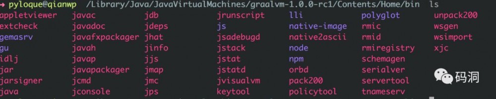 全栈虚拟机 GraalVM 初体验