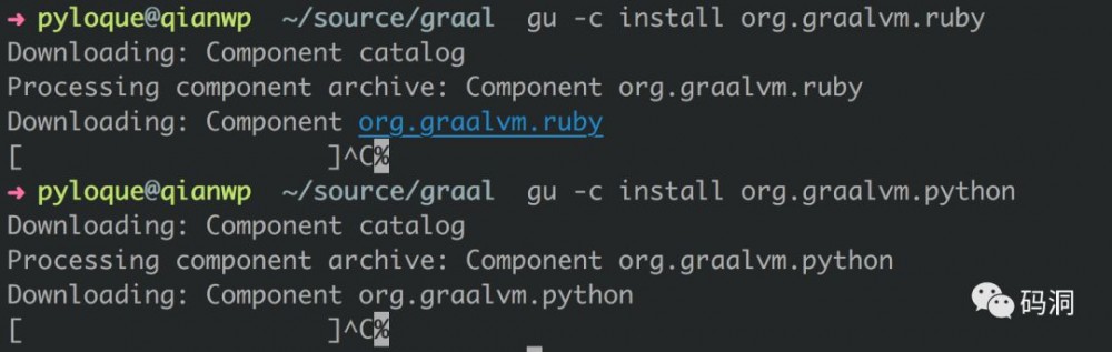 全栈虚拟机 GraalVM 初体验