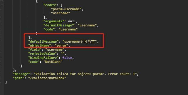 【快学springboot】4.接口参数校验
