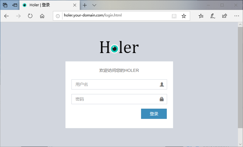 holer内网穿透实例