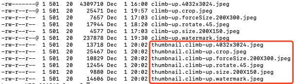 【Java实例】使用Thumbnailator生成缩略图（缩放、旋转、裁剪、水印）