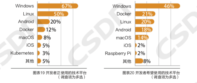 中国开发者真实画像：Java长盛，偏爱Windows操作系统，鲜少参与开源项目