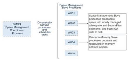 Oracle Database 19c 技术架构（五）