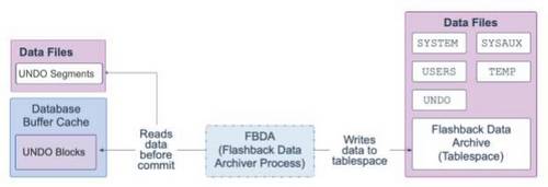 Oracle Database 19c 技术架构（五）