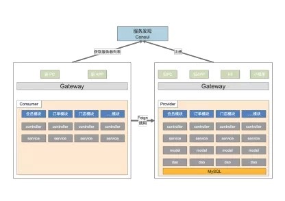 构建安全可靠的微服务 | Nacos 在颜铺 SaaS 平台的应用实践