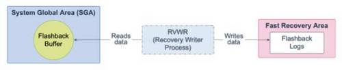 Oracle Database 19c 技术架构（五）