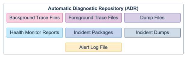 Oracle Database 19c 技术架构（三）