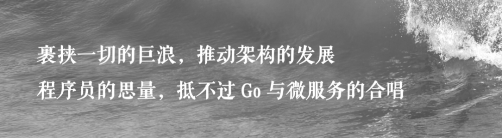 让腾讯、字节跳动放弃 Python 的 Go 微服务，凭什么？